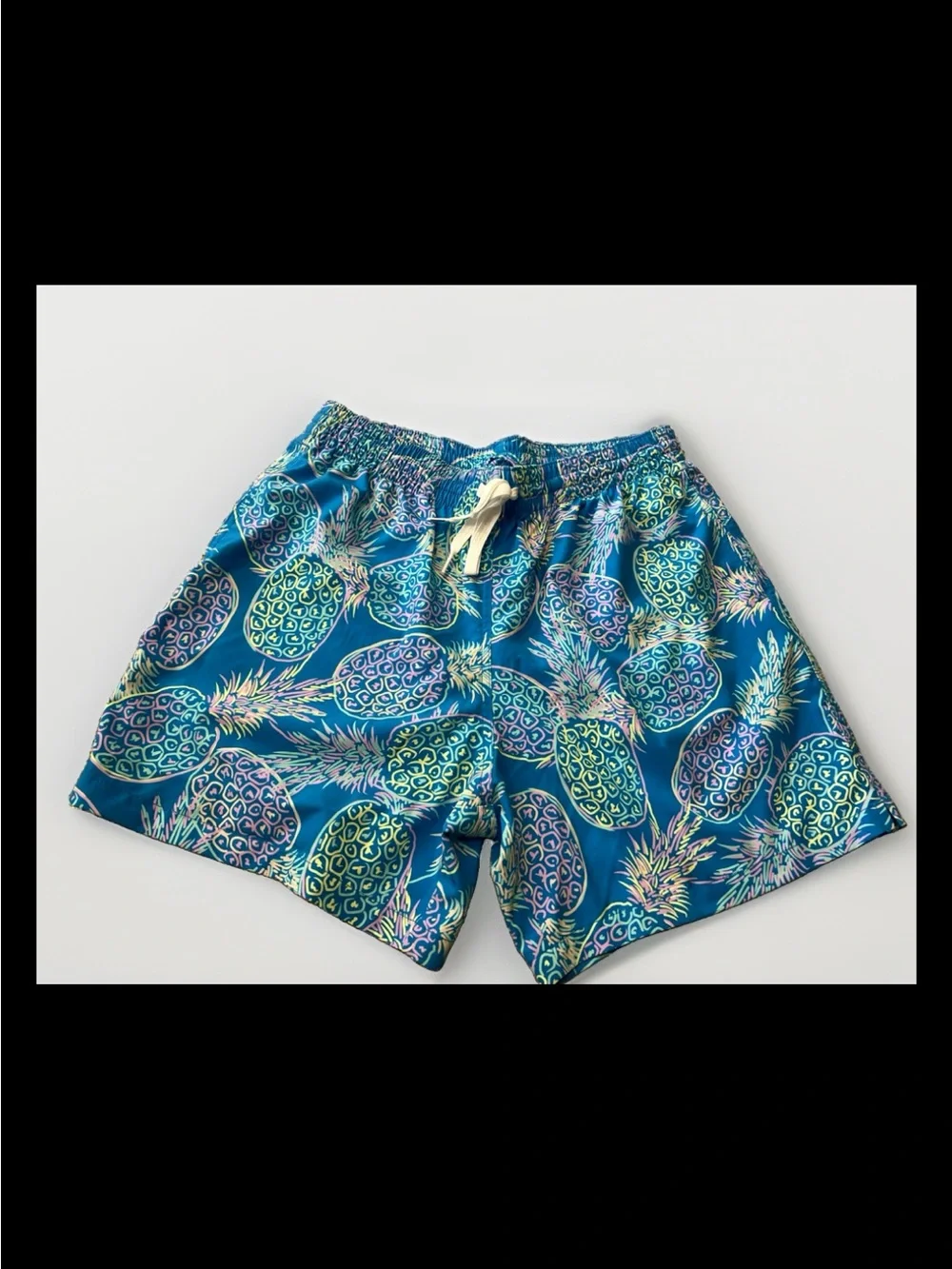 CHUBBIES Blue pineapple print swim trunks Men's 5.5” inseam Shorts Sz L Q19